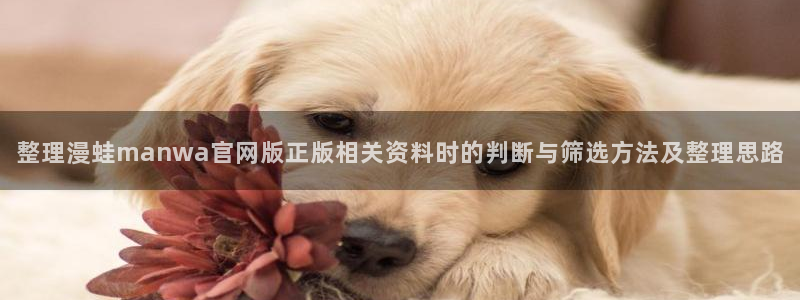 羞羞漫画连载漫画推荐:整理漫蛙manwa官网版正版相关资料时的判断与筛选方法及整理思路