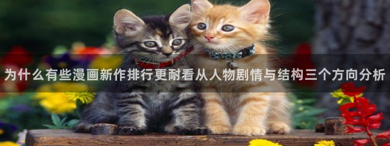 羞羞漫画校园漫画：为什么有些漫画新作排行更耐看从人物剧情与结构三个方向分析